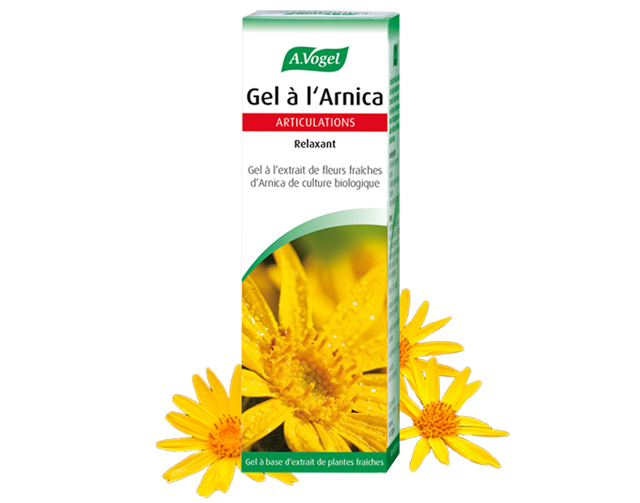 arnica