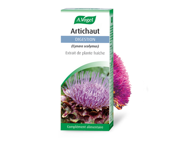 artichaut