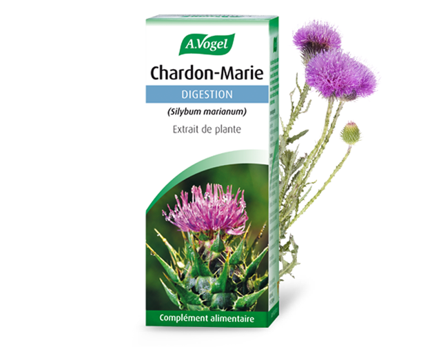 chardon-marie