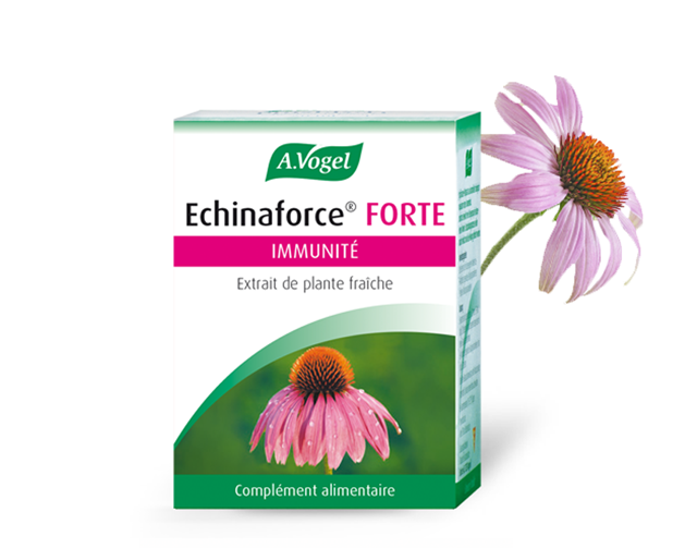 echinaforce