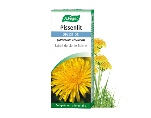 pissenlit